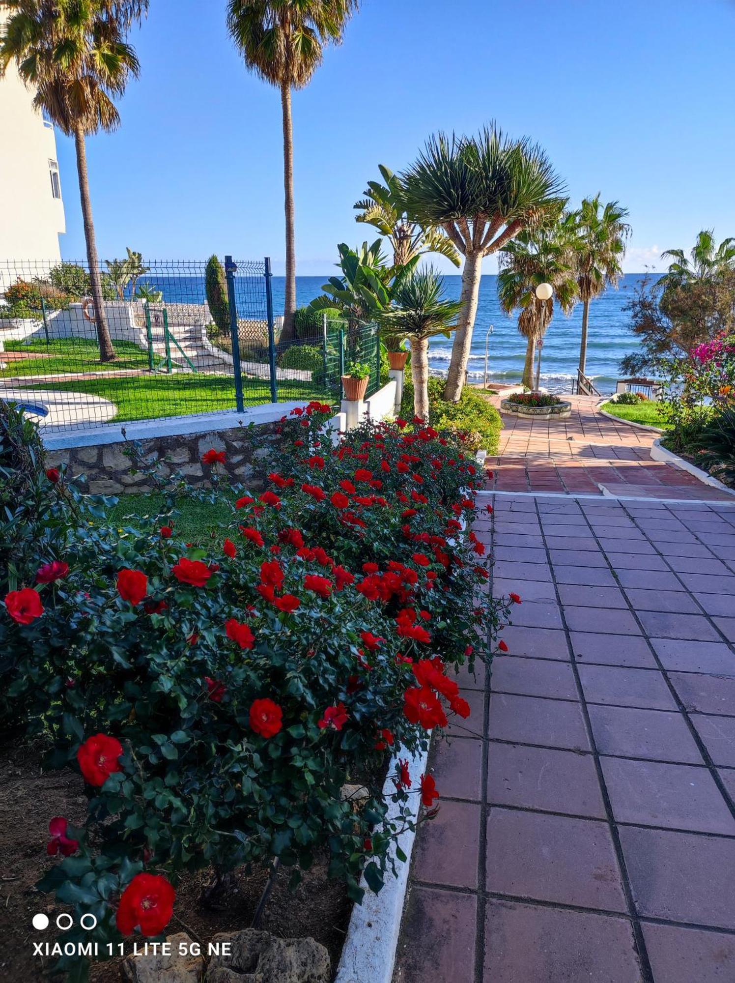 Algaidabeach-Paseolitoral Sitio de Calahonda Ngoại thất bức ảnh